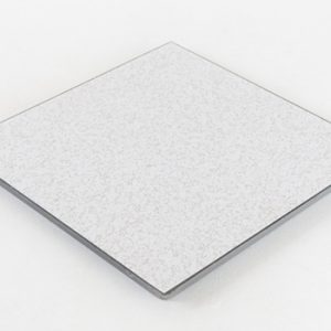 Triad Cement Filled Raised Floor Panel